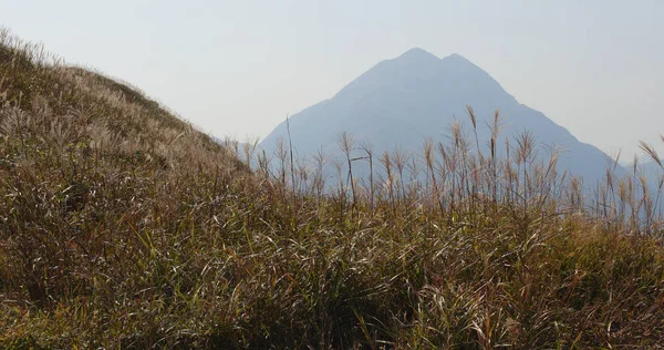 Sunset Peak Hong Kong — Stock Photo, Image