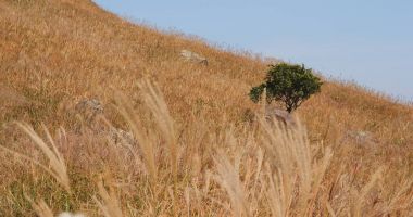 Gün batımı tepe ve açık mavi gökyüzü