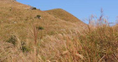 Güzel sonbahar günbatımı tepe