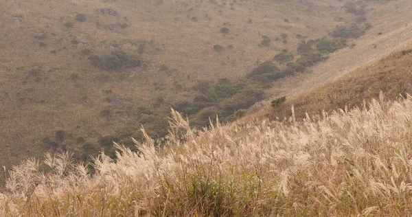 Alta Montaña Hora Puesta Del Sol — Foto de Stock