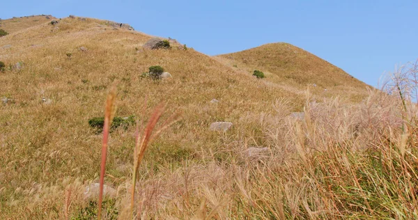 Hong Kong Sonbahar Günbatımı Tepe — Stok fotoğraf