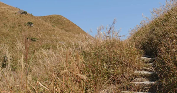 Schöner Bergwanderweg — Stockfoto