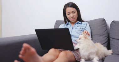 Onun köpeği ile dizüstü bilgisayar üzerinde çalışan kadın 