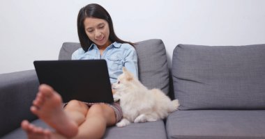 Onun köpeği ile dizüstü bilgisayar üzerinde çalışan kadın 