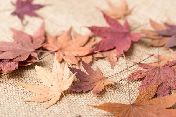 Dried Maple Leaves Linen Texture — Stock Photo, Image