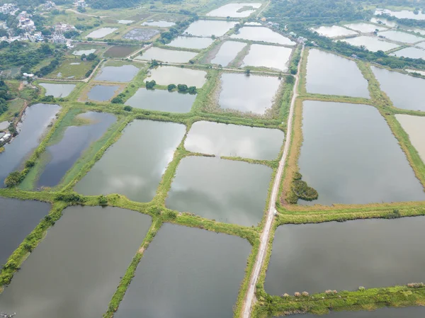 Top view of Fish pond in Hong Kong