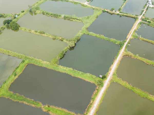 Top view Fish hatchery pond in Hong Kong