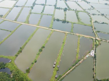 Havadan görünümü balık kuluçka gölet