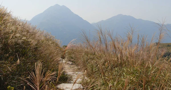 Pico Montaña Temporada Otoño — Foto de Stock