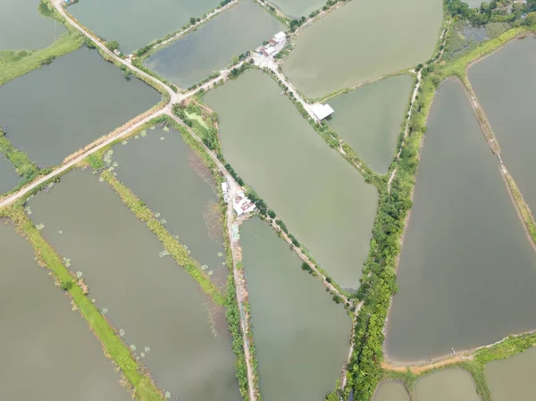 Aerial View Fish Ponds Hong Kong — Stock Photo, Image