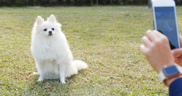 Woman taking video with cellphone of her dog