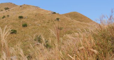Güzel sonbahar günbatımı tepe Hong Kong
