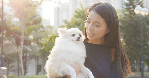 Frau Mit Hund Park — Stockfoto