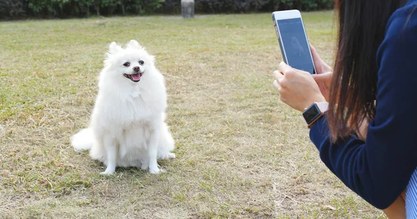Frau Fotografiert Ihren Hund Mit Handy — Stockfoto