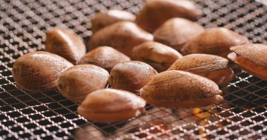 Kızarmış istiridye Barbekü yanıyor 