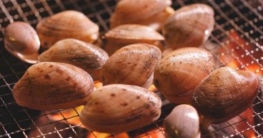 Taze istiridye Barbekü ateşe ızgara 