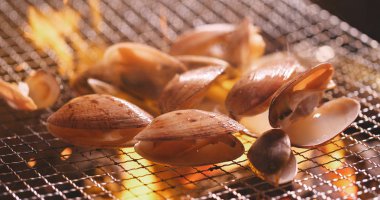 Barbekü üzerinde taze istiridye net metal ızgara 