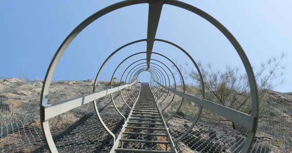 Veiligheid Ladder Naar Top Van Een Industriële Fabriek — Stockfoto