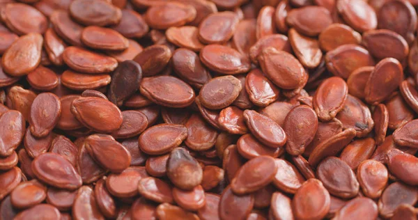 Stack Red Dry Melon Seeds — Stock Photo, Image