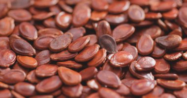 Kırmızı kuru kavun tohumu yığını 