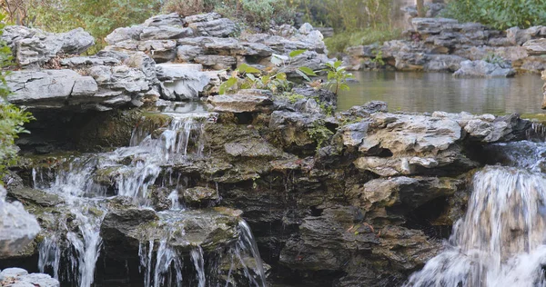Water pond in garden, Chinese garden — Stock Image Water Pond Garden Chinese Garden Royalty Free Stock Photos
