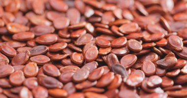 Kırmızı kuru kavun tohumu yığını 