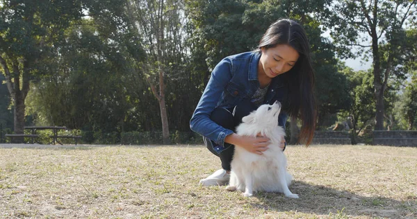 Mulher Brincando Com Seu Cão Parque Livre — Fotografia de Stock