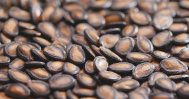 Siyah karpuz yığını 