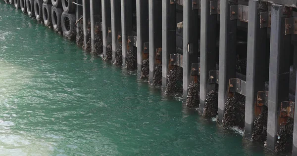 Wave Crash Sul Molo Legno Pontile — Foto Stock