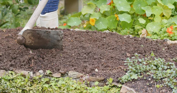 Person Working Farm Close — Stock Photo, Image