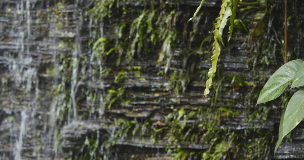 Cascata Sul Muro Pietra Vicino — Foto Stock