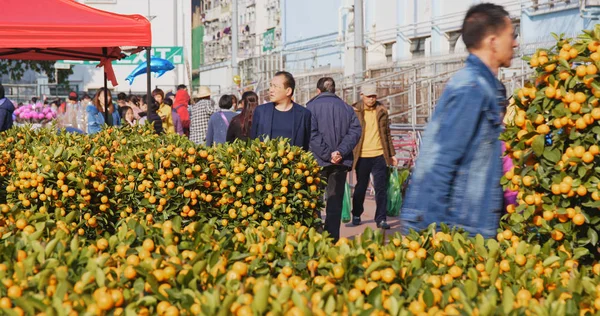 Tsuen Wan Hong Kong February 2018 Traditional Lunar New Year — стоковое фото