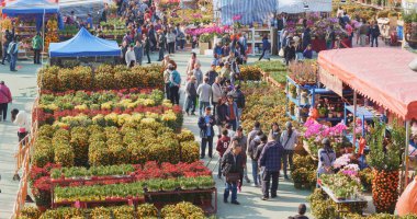Tsuen Wan, Hong Kong - 13 Şubat 2018: geleneksel ay yeni yıl Hong Kong'da Fuar