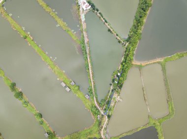 Balık kuluçka göletler Üstten Görünüm