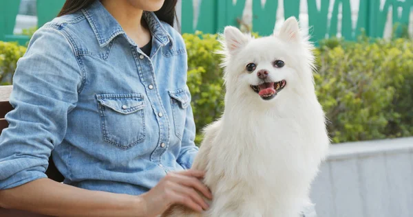 在户外公园和她的狗玩耍的女人 — 图库照片