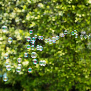 sabun köpükleri yeşil arkaplanda