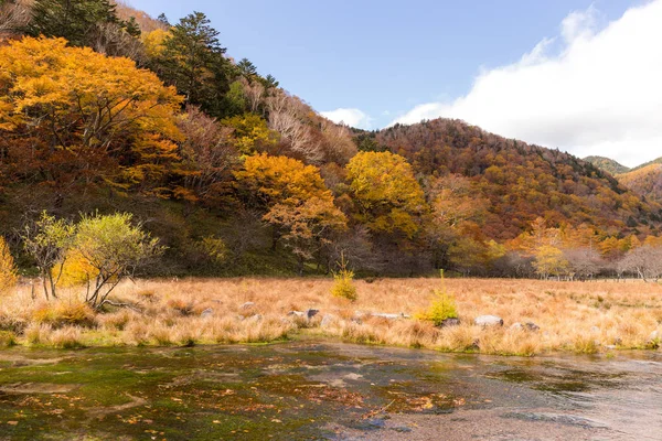 Beau Paysage Automne Nikko Japon — Photo