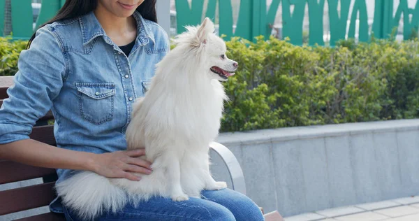 Frau Massiert Ihren Hund Park — Stockfoto