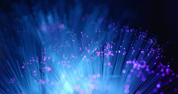 Glowing Fiber Optics Strands Light — Stock Photo, Image