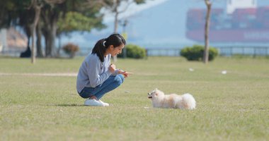 Kadın köpeğini aperatif Park ile eğitim 
