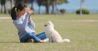 Kadın alarak resmi Pomeranya köpeği açık park için 