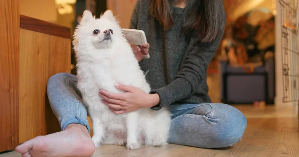 Mulher Escova Seu Cão Pomeranian Casa — Fotografia de Stock