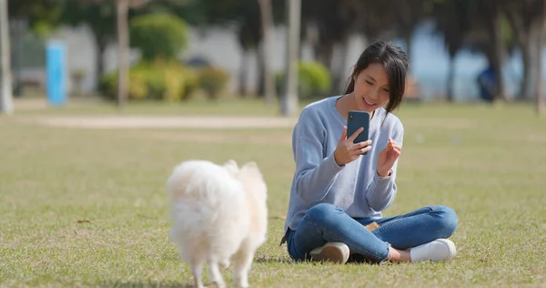 Frau Fotografiert Ihren Hund Mit Handy — Stockfoto