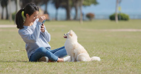 Frau Fotografiert Ihren Pommerschen Hund Freibad — Stockfoto