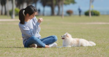 Kadın alarak resmi köpeğini açık park için 