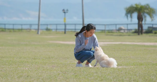 Mulher Brincando Com Seu Cão Parque — Fotografia de Stock