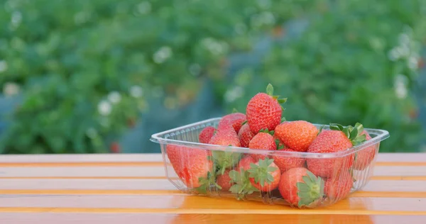 Harvest Strawberry Field Table — Stock Photo, Image