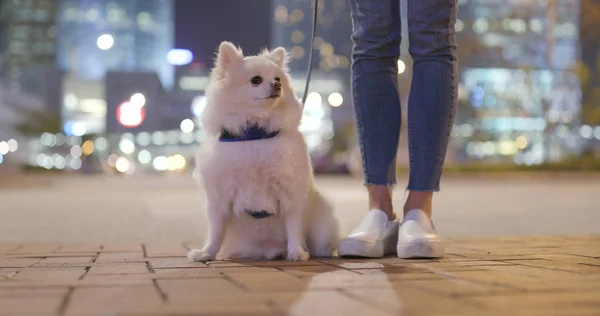 Kvinna Som Står Utomhus Med Hennes Hund — Stockfoto