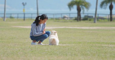Kadın köpeğini aperatif Park ile eğitim 