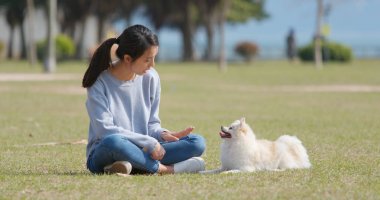 kadın köpeğini yeşil park ile oynarken 